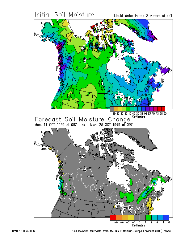 soil2.gif (34596 bytes)