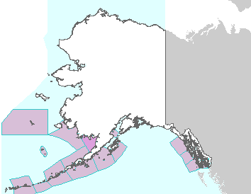 This image displays watches, warnings, statements and advisories issued by the National Weather Service